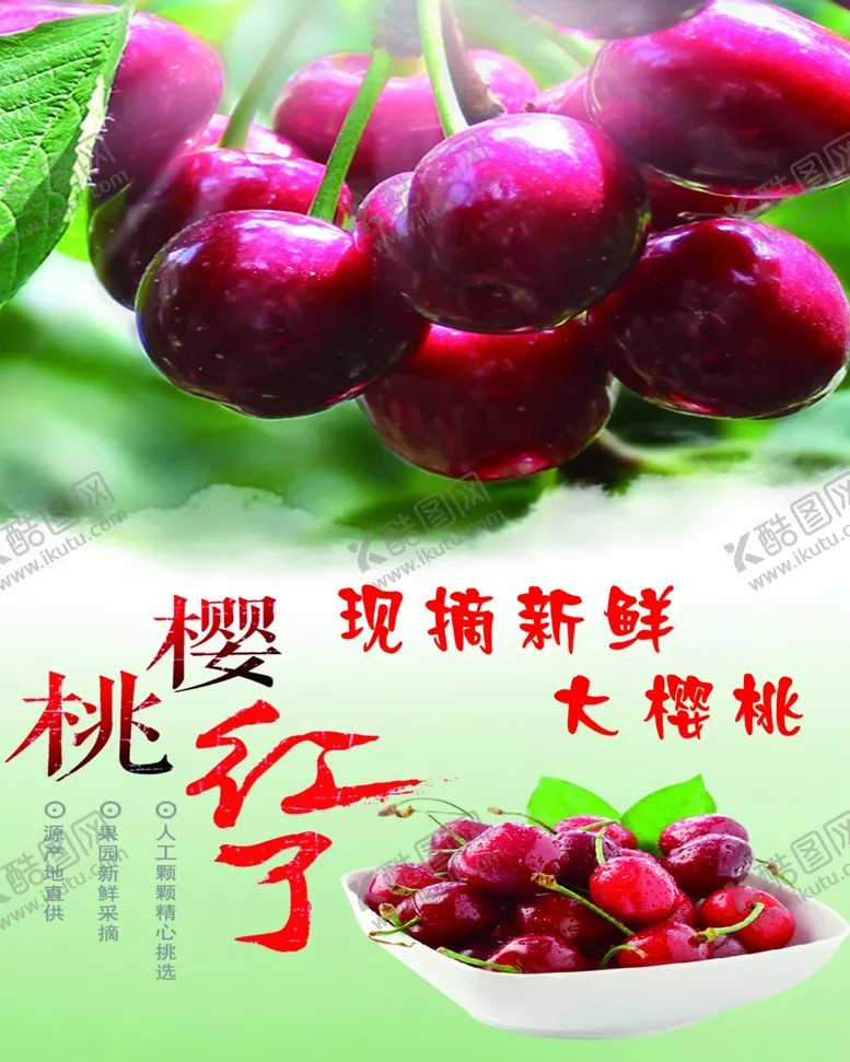 编号：52203902030914115029【酷图网】源文件下载-樱桃海报
