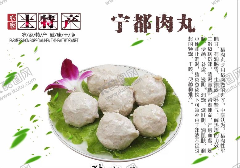 编号：99682601261604157641【酷图网】源文件下载-土特产肉丸展板