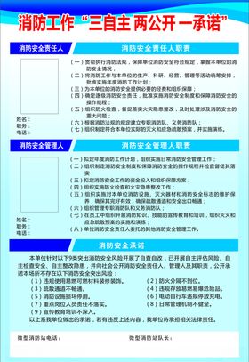 三自主两公开一承诺