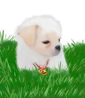 手绘动物鸭驴猪虎