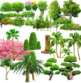 花草分层高清