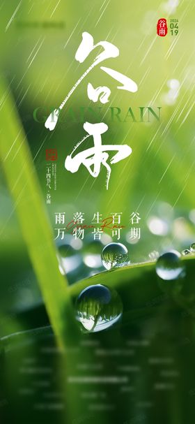 谷雨节气海报