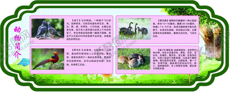 编号：64372310061933191248【酷图网】源文件下载-学校动物园