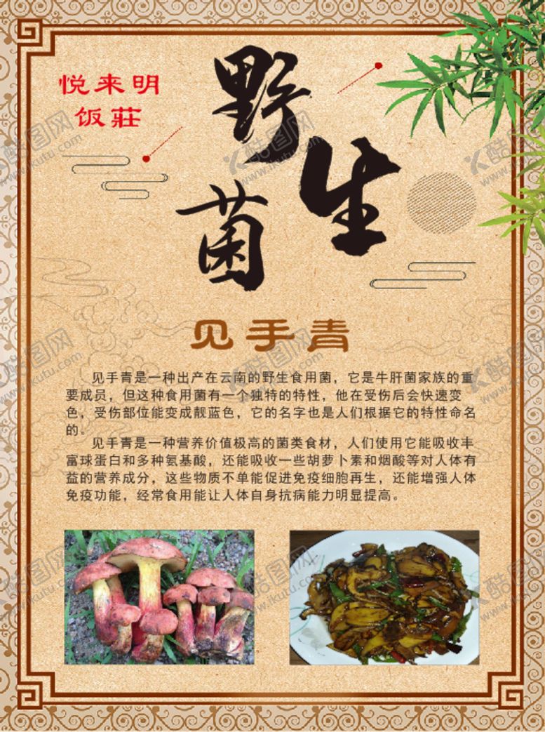 编号：49011502070534159175【酷图网】源文件下载-野生菌