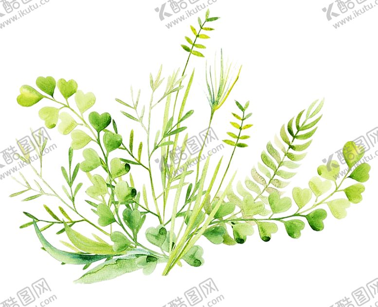 编号：32733110151455249700【酷图网】源文件下载-绿色装饰