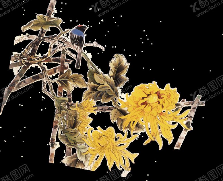 编号：83703211021952063936【酷图网】源文件下载-菊花