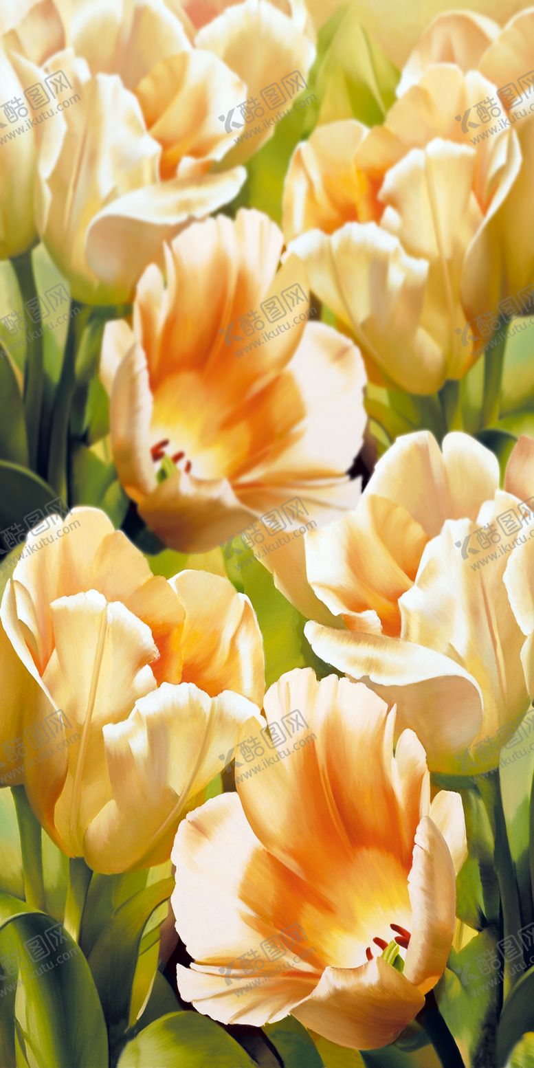 编号：96905409291644011208【酷图网】源文件下载-花卉玄关画