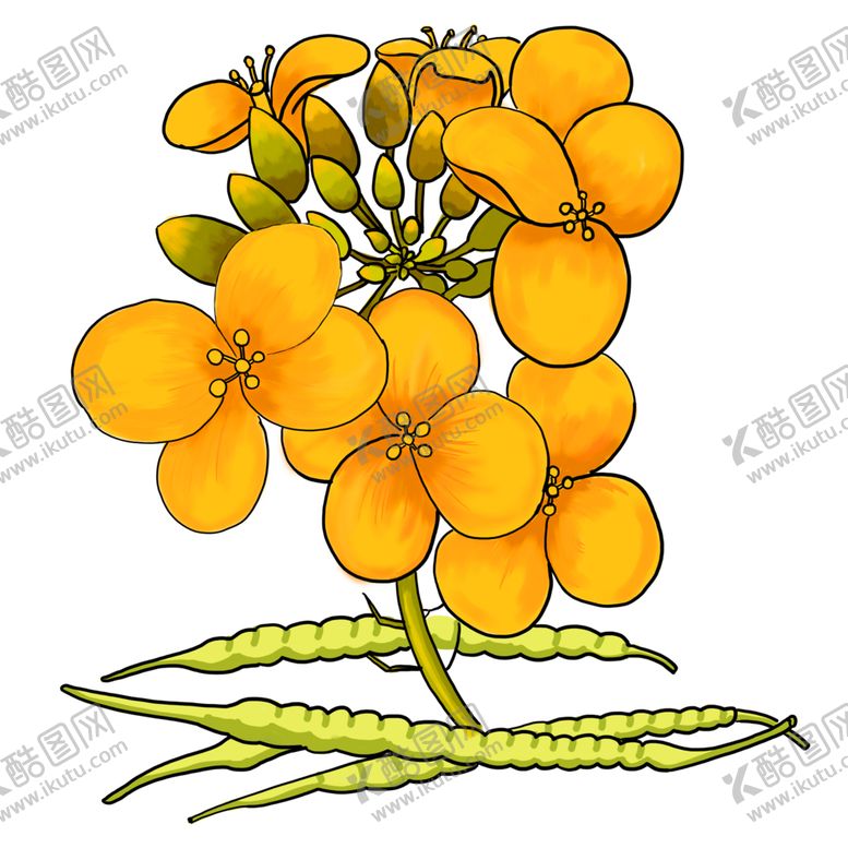 编号：46868610082040377589【酷图网】源文件下载-手绘花草牡丹花园元素素材