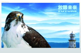 企业文化展望未来