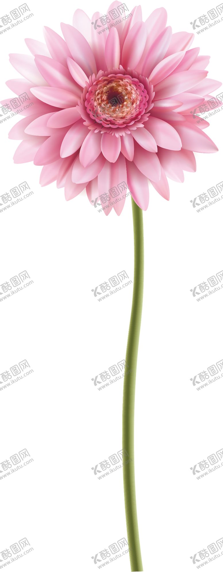 编号：71279007131205415229【酷图网】源文件下载-鲜花素材