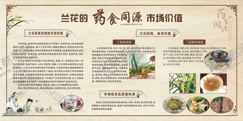 编号：50831001210449342855【酷图网】源文件下载-兰花的药食同源市场价值