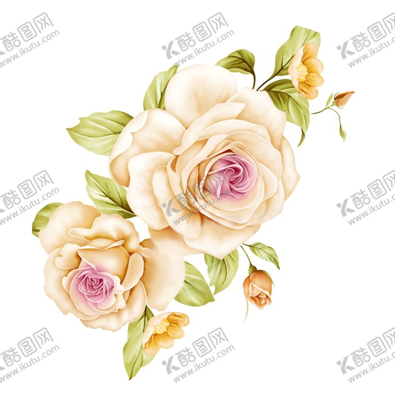 编号：26006805131841532916【酷图网】源文件下载-玫瑰花