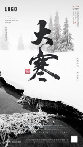 酒吧大寒海报
