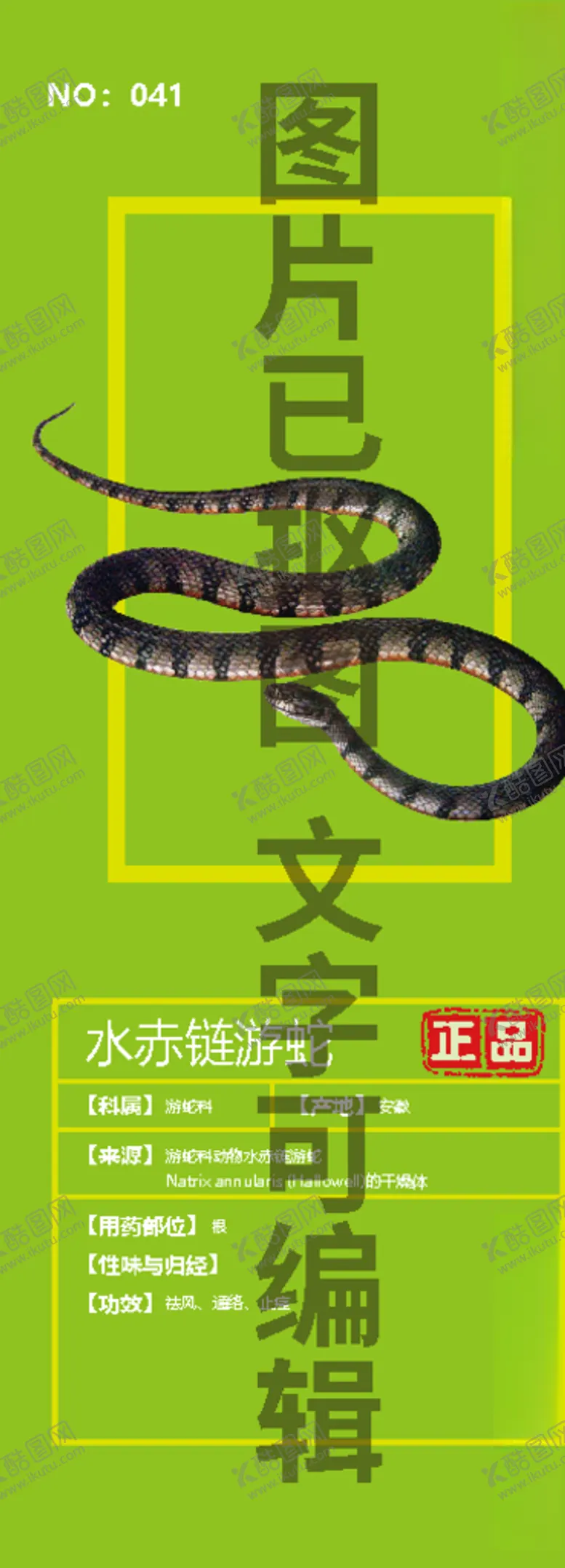 编号：88407304081548243743【酷图网】源文件下载-水赤链游蛇