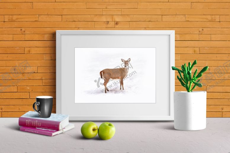 编号：46112609221232229473【酷图网】源文件下载-户外海报样机