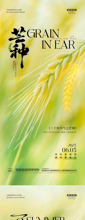 地产芒种夏至节气海报
