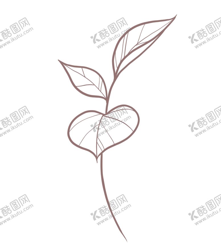 编号：08913410031709323542【酷图网】源文件下载-线描简约叶子