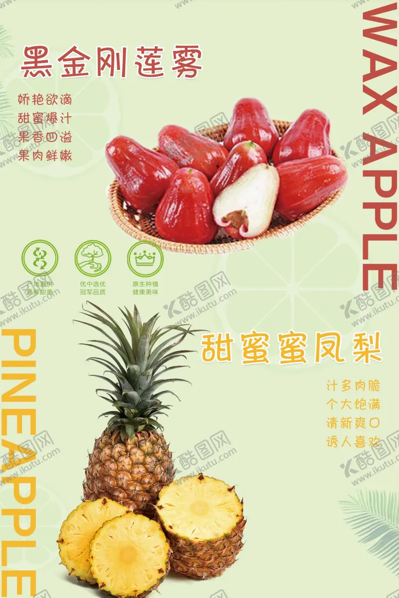 编号：83324205091650445453【酷图网】源文件下载-菠萝