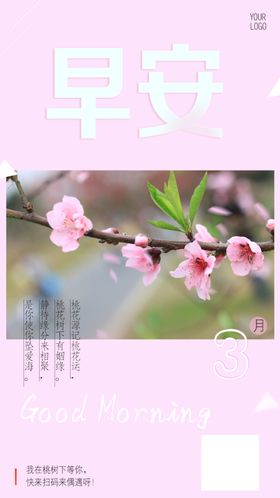 早安你好桃花海报