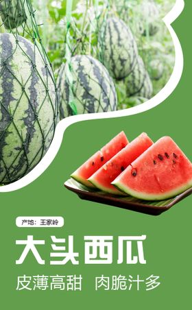 创意水果西瓜装饰画