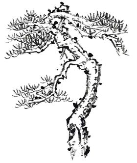 水墨中国风迎客松
