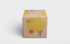 包装盒子展示效果图