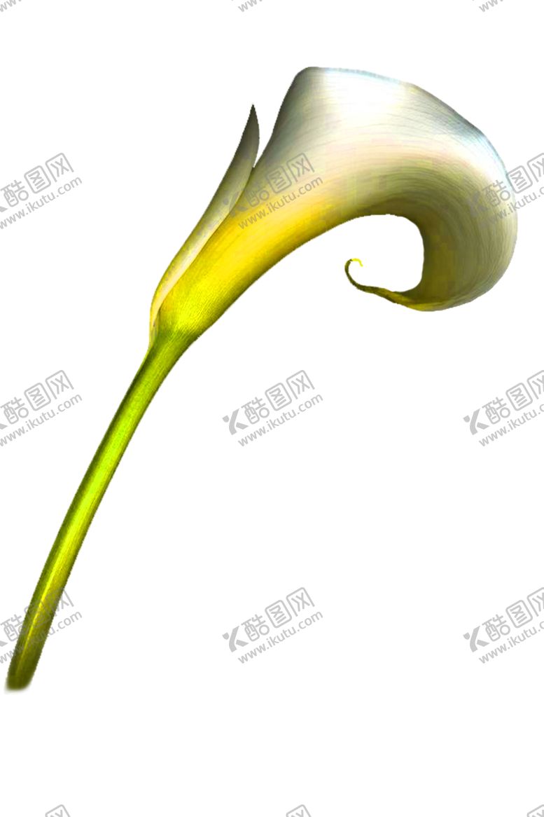 编号：38774007081712005106【酷图网】源文件下载-鲜花装饰