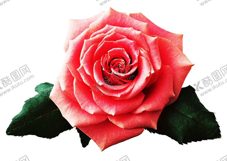 编号：96404909291306329999【酷图网】源文件下载-浪漫素材