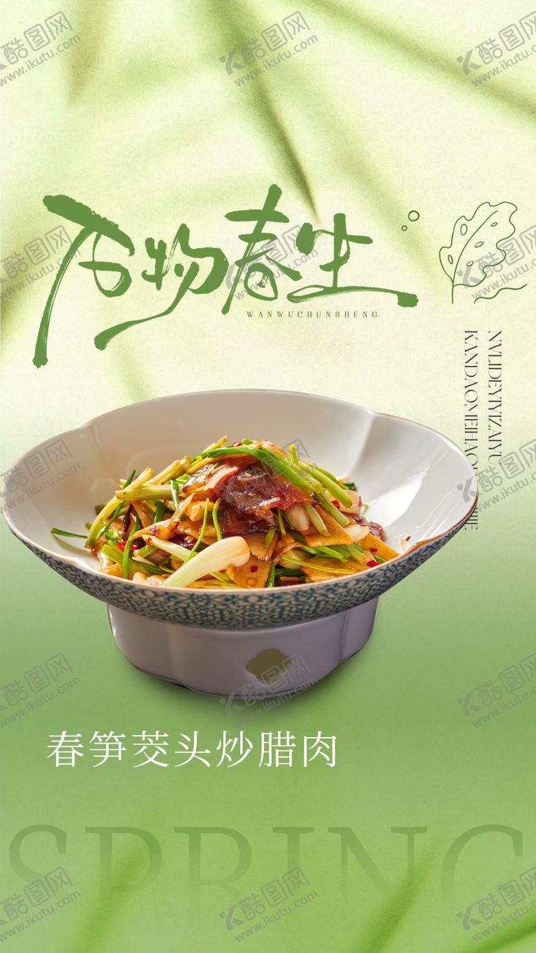 编号：88102003052034453676【酷图网】源文件下载-春季新菜品海报