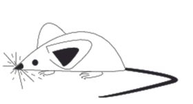 老鼠简笔画