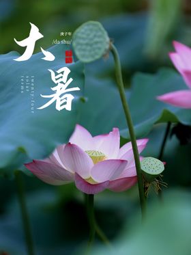 大暑意境房地产节气