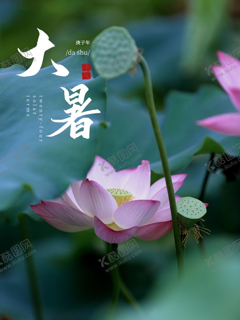 编号：34809107092133517792【酷图网】源文件下载-大暑