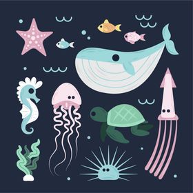 海洋生物边框图片