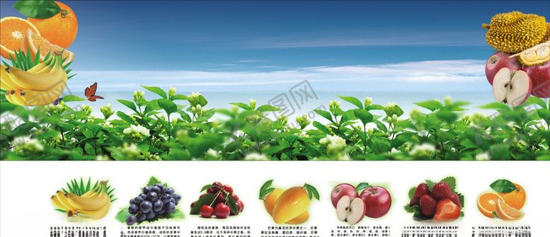 编号：67364109101211101866【酷图网】源文件下载-水果图片