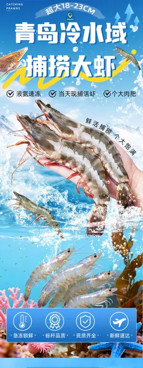 青岛大虾详情页