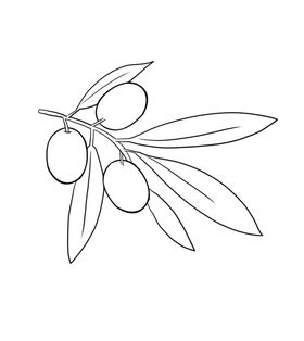 橄榄