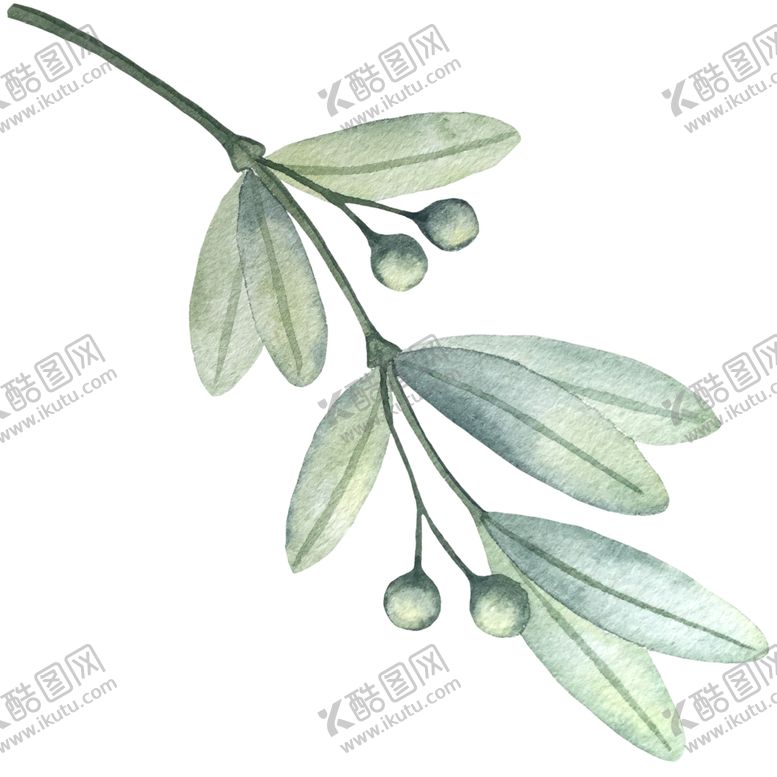 编号：47387406290813476384【酷图网】源文件下载-手绘植物
