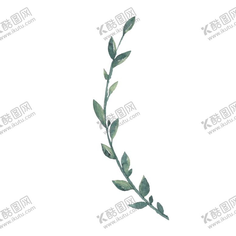 编号：44399510170054239707【酷图网】源文件下载-小清新水彩植物树枝