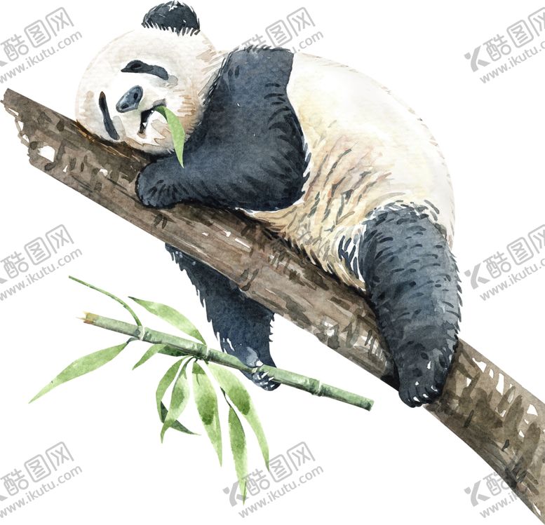 编号：28331009121302574689【酷图网】源文件下载-树干上睡觉的熊猫