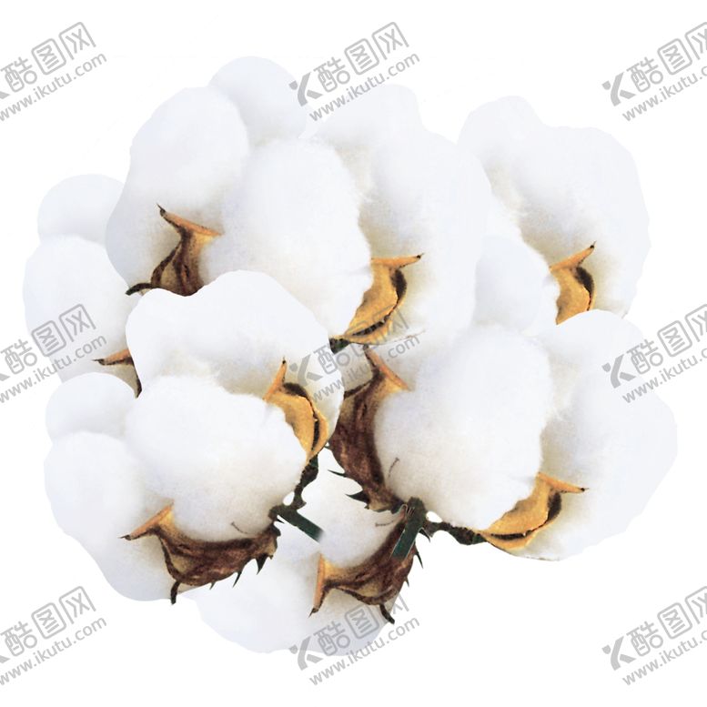 编号：32901105110055137301【酷图网】源文件下载-棉花柔软衣服材料海报素材