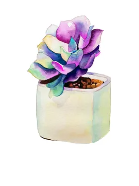 png格式植物花卉手绘素材型朵卡通插图