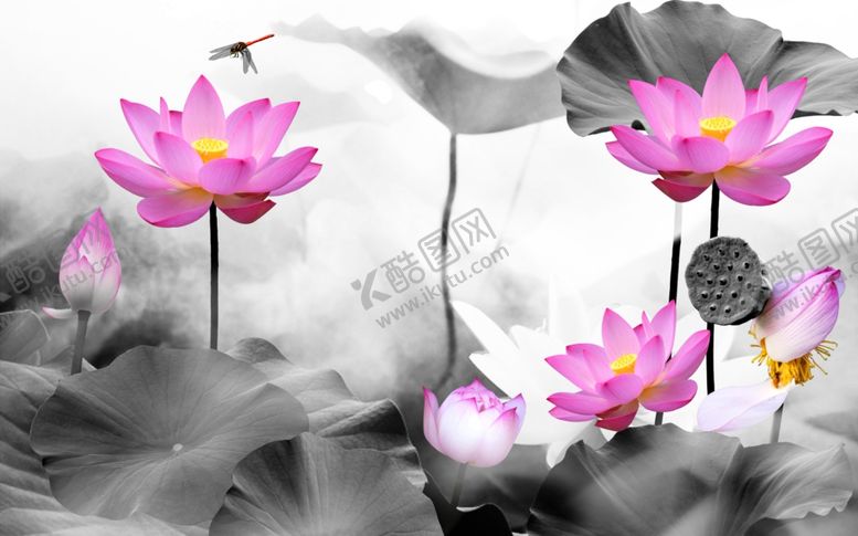 编号：91118710200717307218【酷图网】源文件下载-荷花莲蓬背景墙