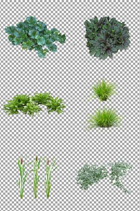 清新绿色植物背景