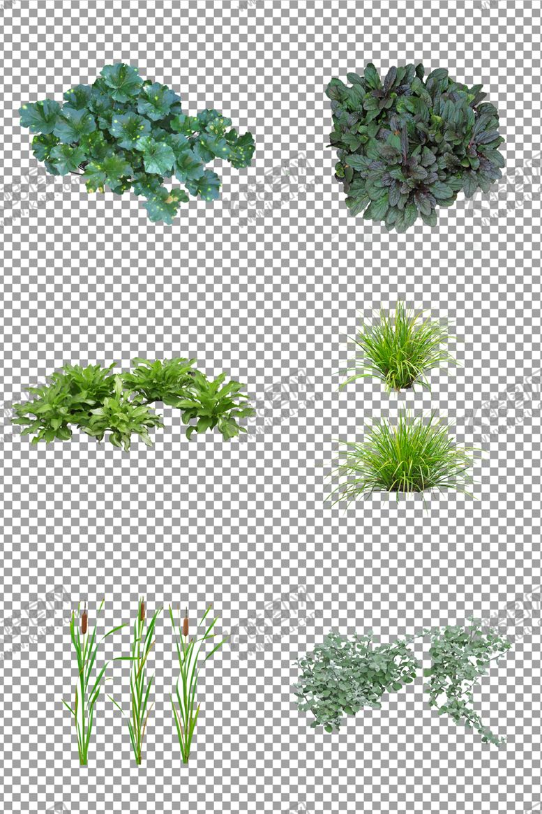 编号：16256305030910465053【酷图网】源文件下载-清新绿色植物