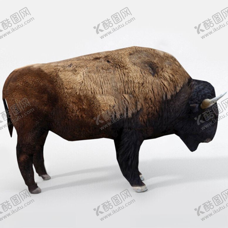 编号：49156802122056156390【酷图网】源文件下载-C4D模型牛