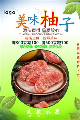 柚子海报