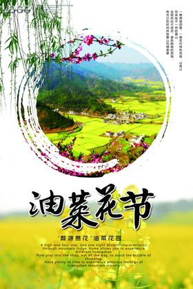 油菜花