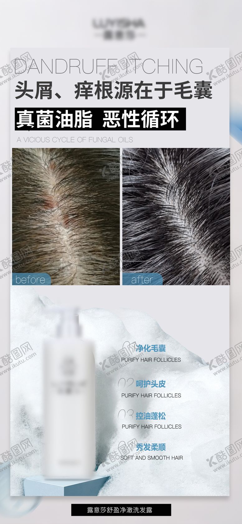 编号：26038509111625267915【酷图网】源文件下载-洗发水广告海报