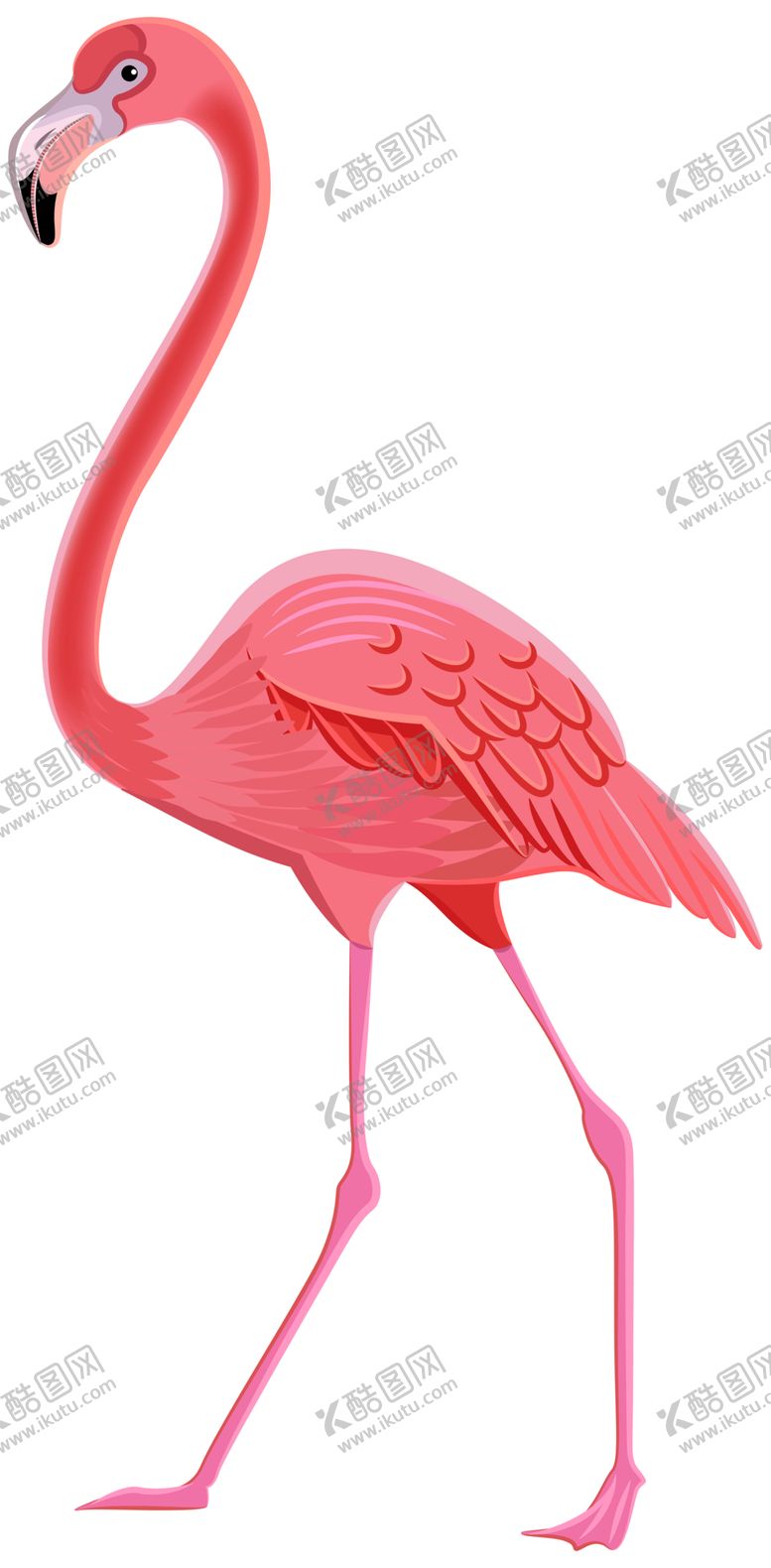 编号：60715707070425383371【酷图网】源文件下载-丹顶鹤