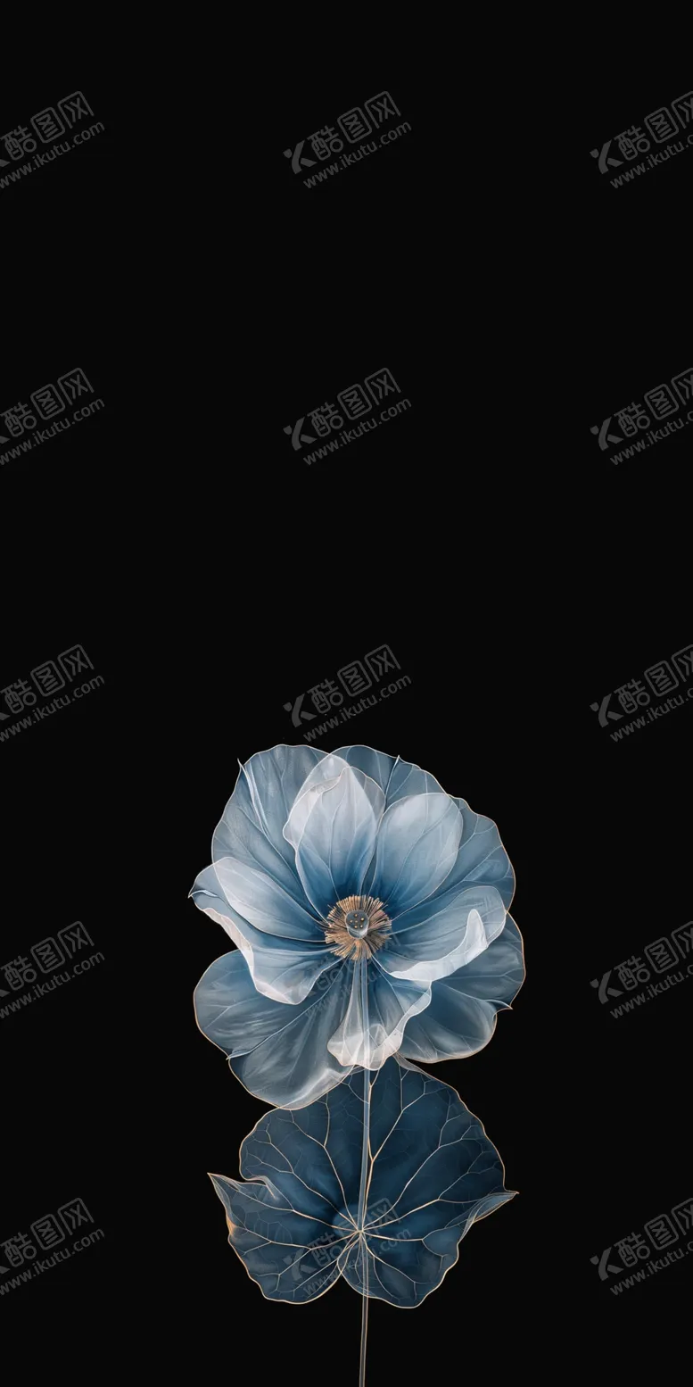 编号：48043501201613399369【酷图网】源文件下载-荷花